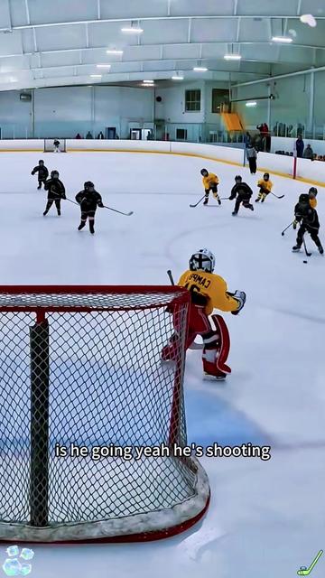 @PuckVibe