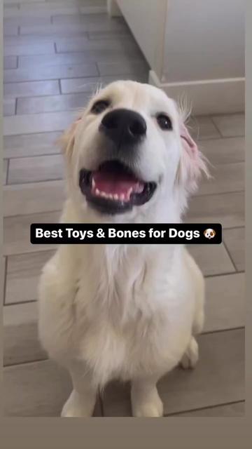 @PetFitness