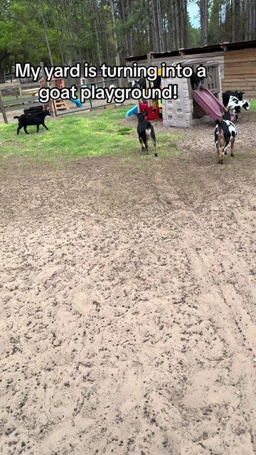@Nature’s Spirit Farm & Forest