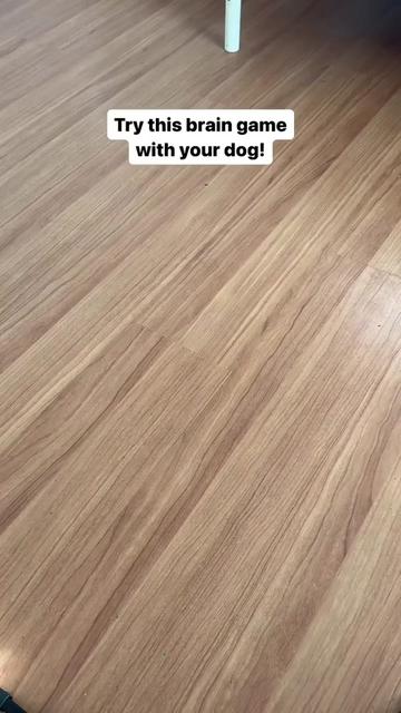 @PetFitness