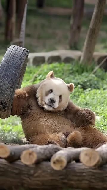 @ショウキンキ