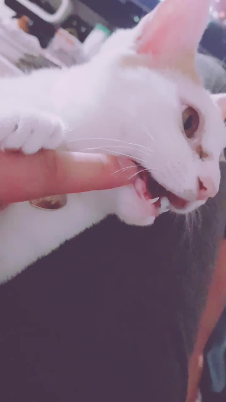 @이형균