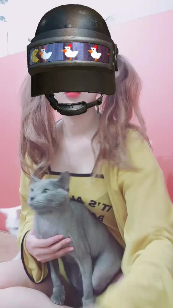 @코이