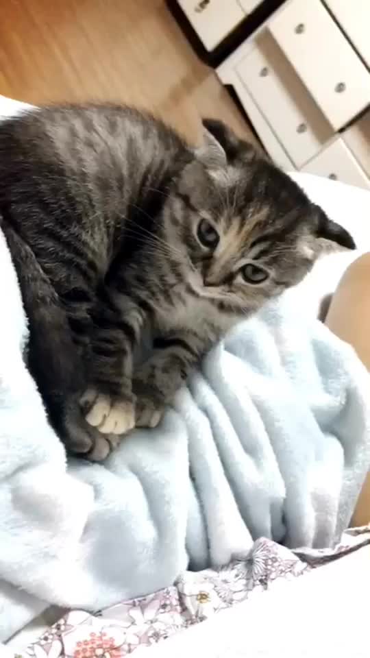 @가미가미