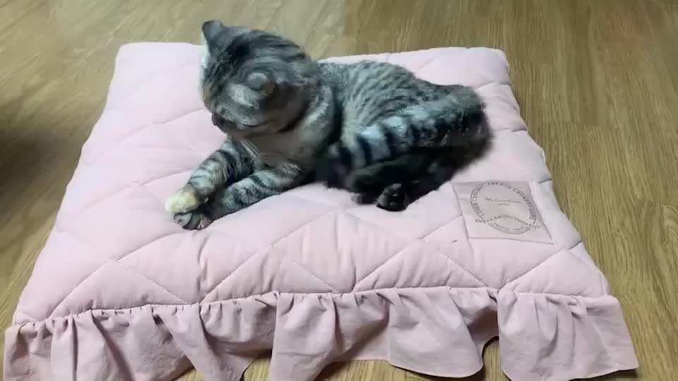 @가미가미