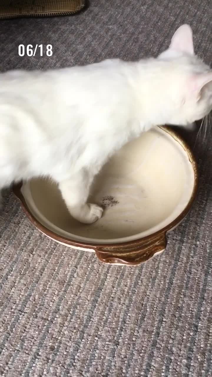 @ゼットン