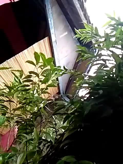 @kayla_zakira