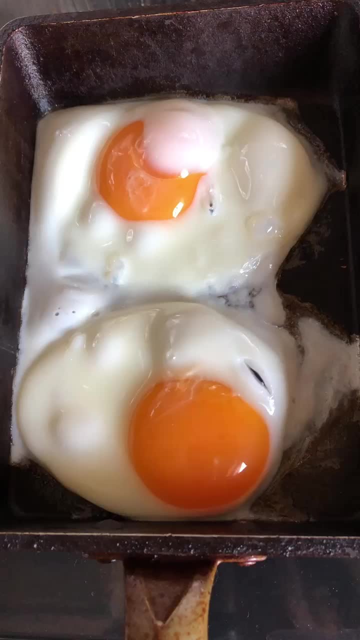 @☀️コウライ☀️