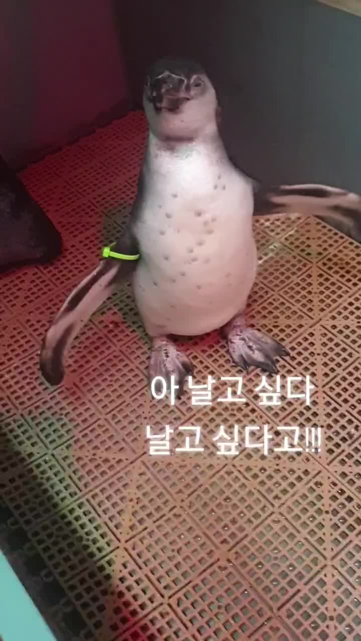 @수지큐