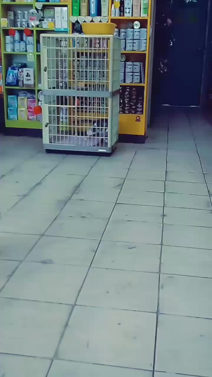 @사랑마이똥에리&hearts;&hearts;