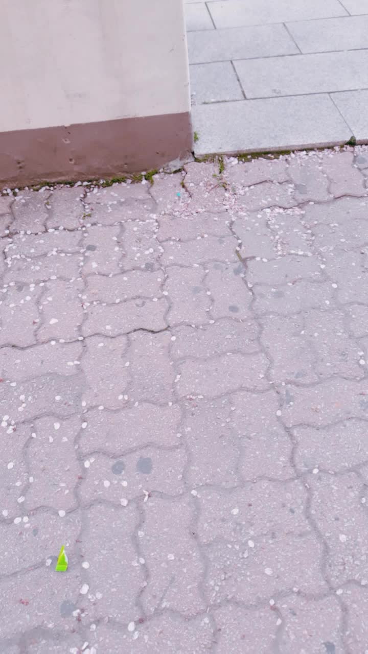 @카미키 리츠