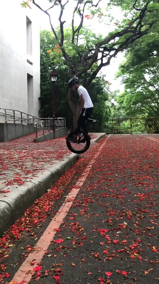 @gulugulu168