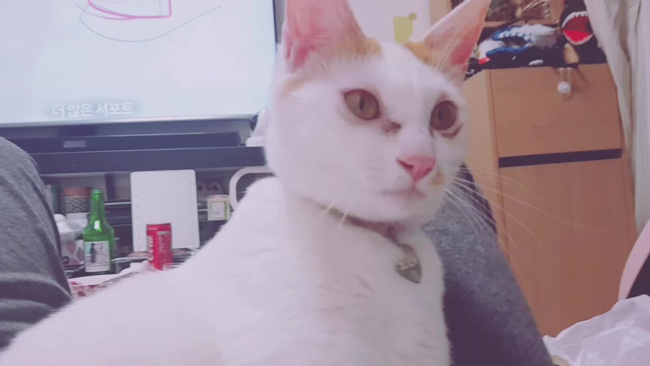 @이형균