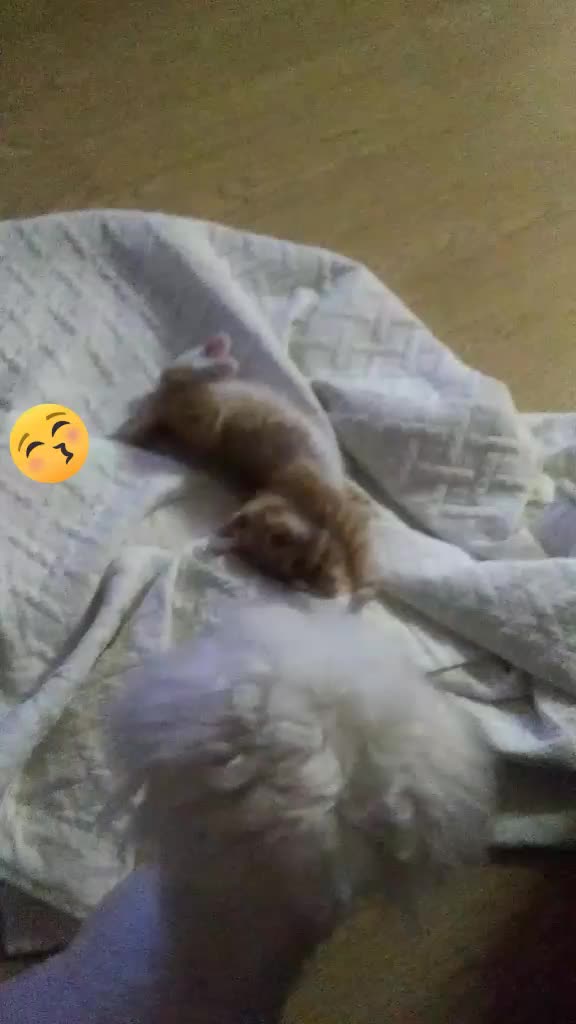 @나른한 계란💛