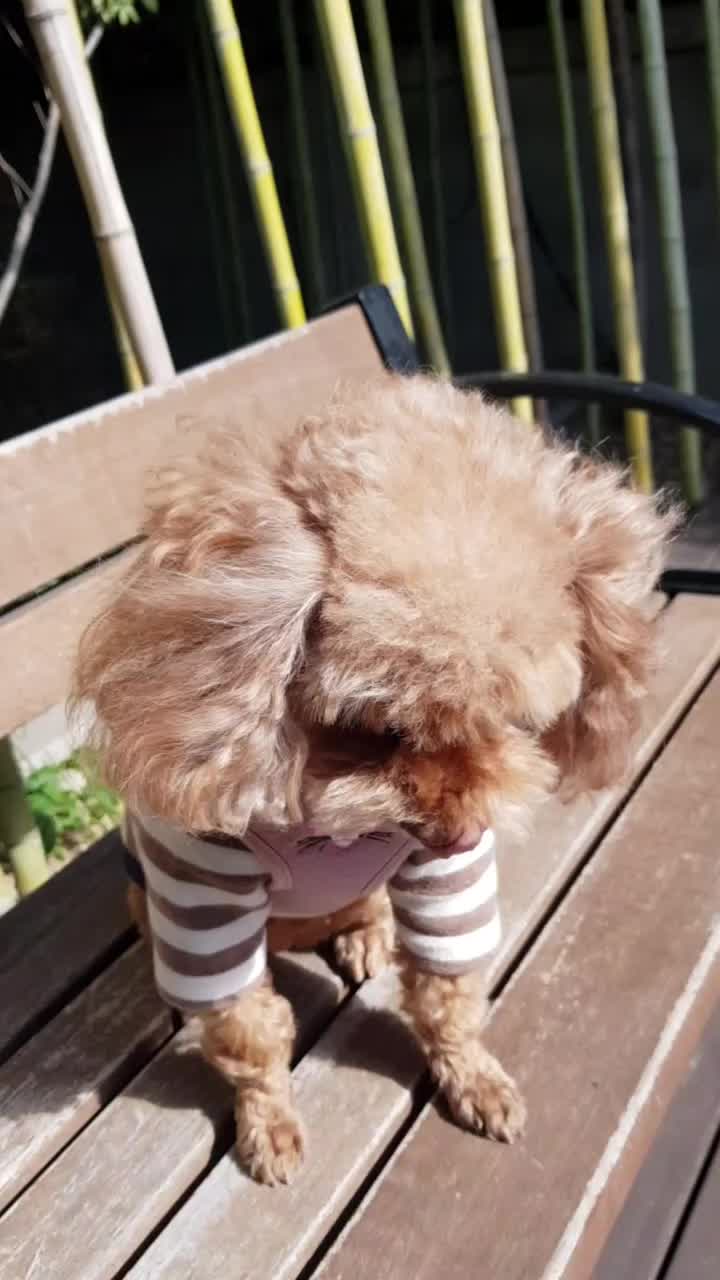 @해바라기쌤🌻