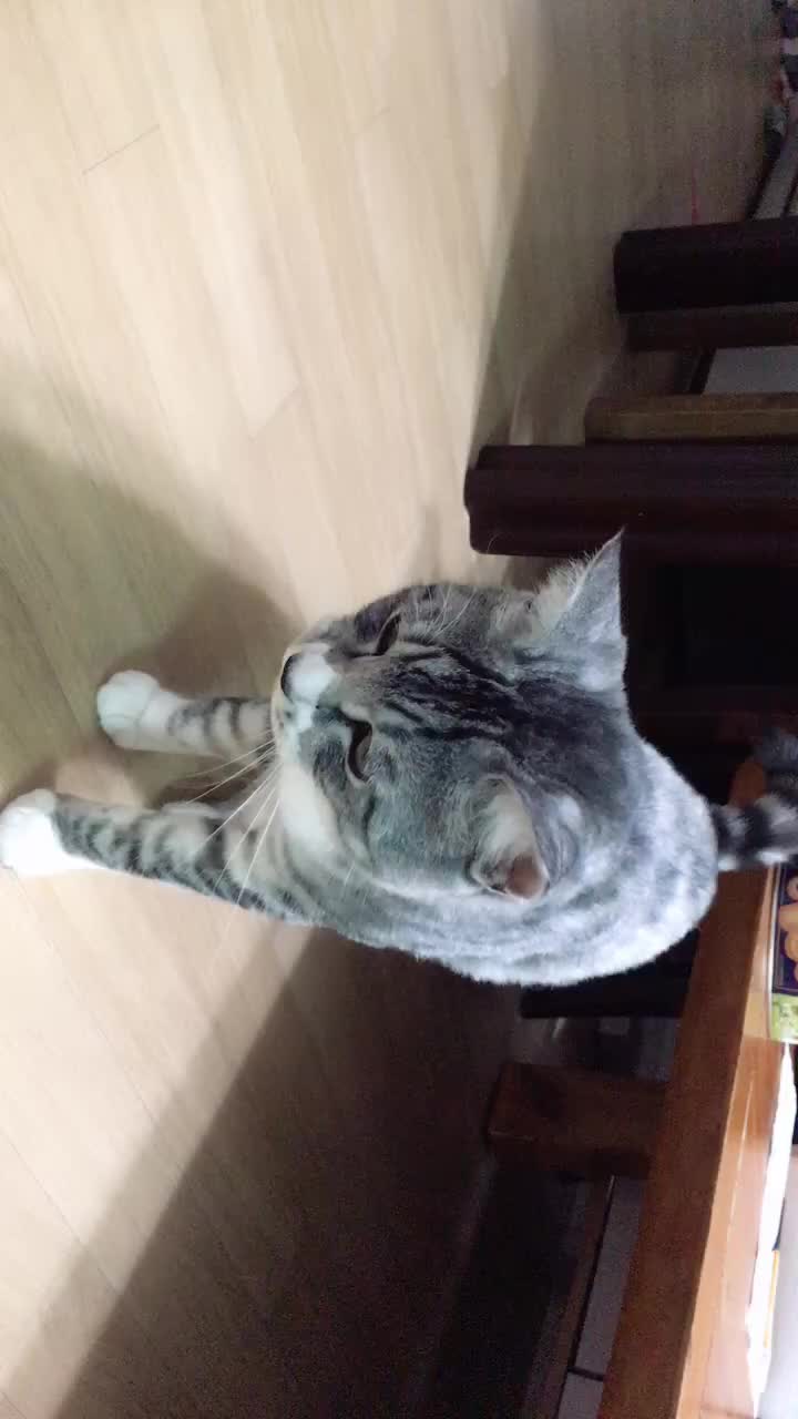 @누