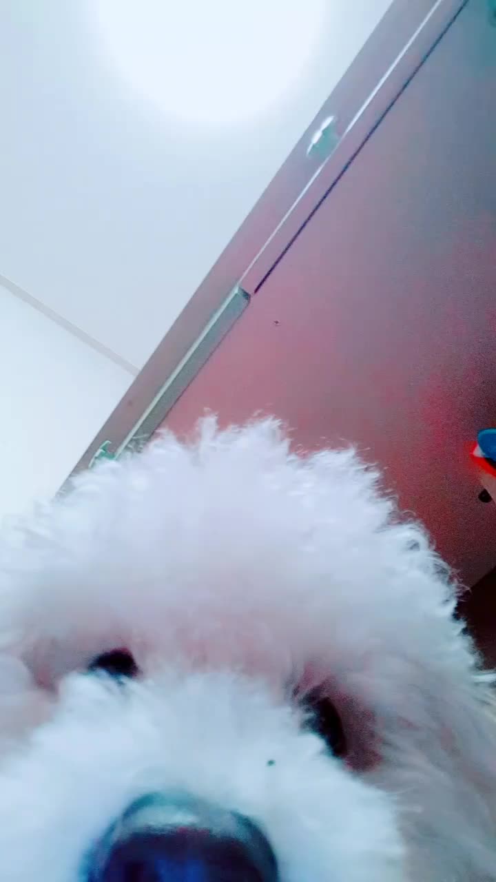 @🌟루피짱🌟