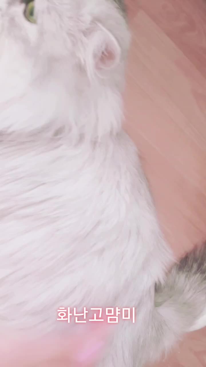 @ㅇㅅㅇ