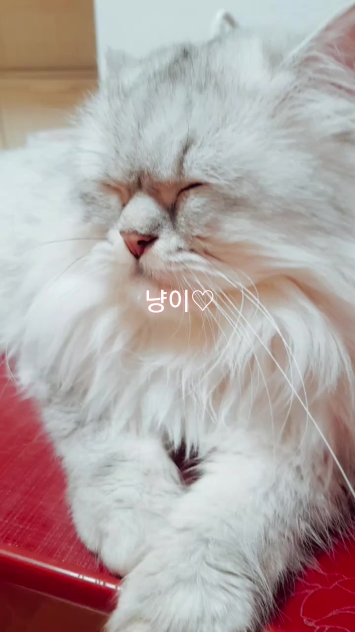 @ㅇㅅㅇ