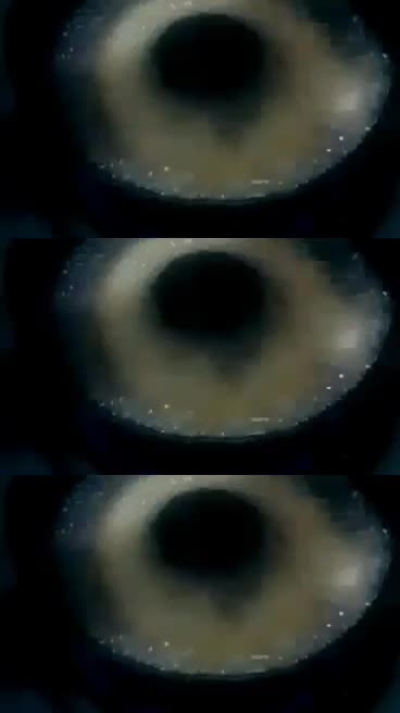@Mushroom
