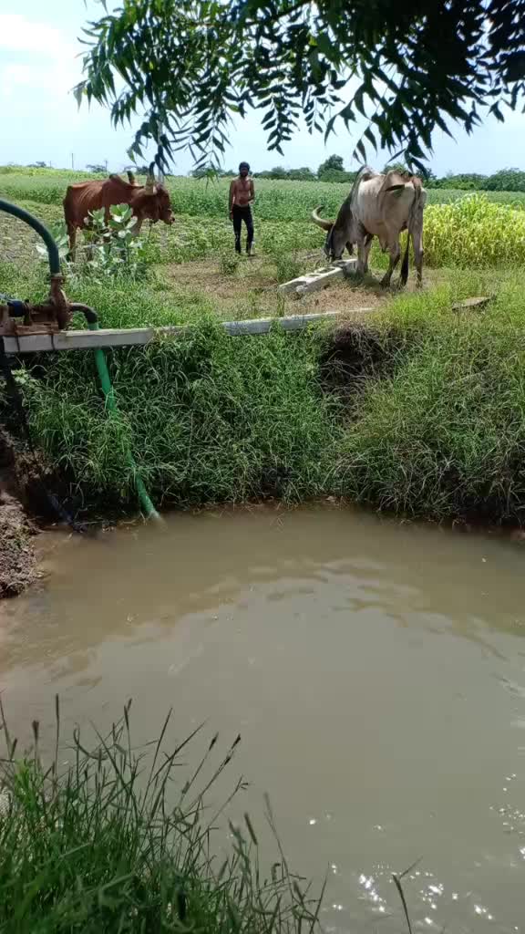 @Mehul Khatana