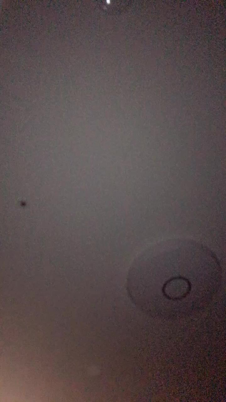 @💜보라쟁이💜
