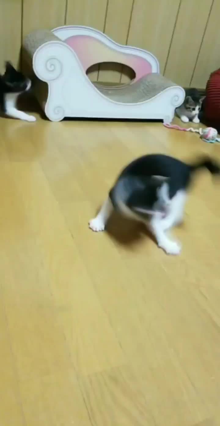 @yukako
