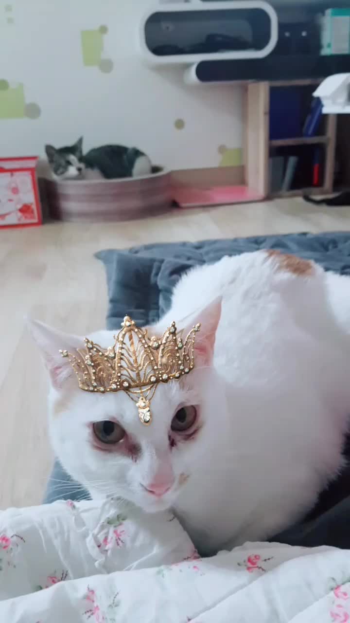 @이형균