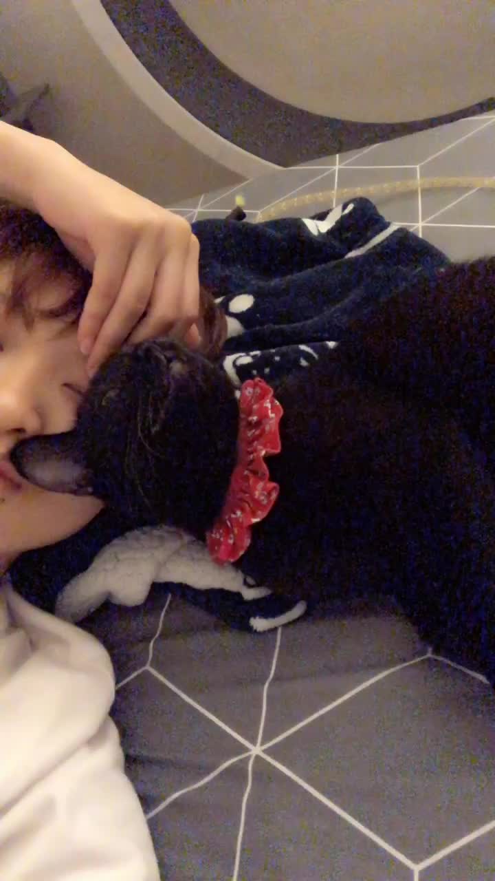 @고양이덕후