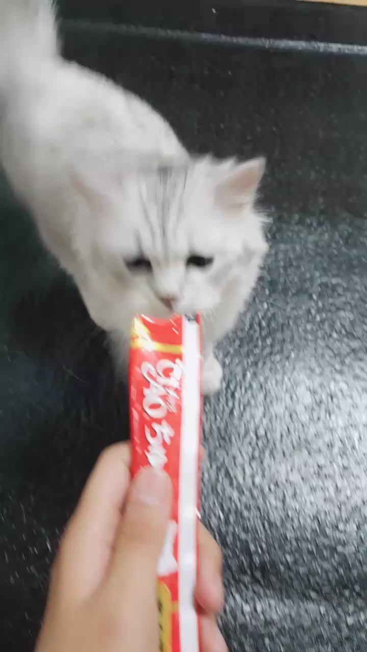 @ㅇㅅㅇ
