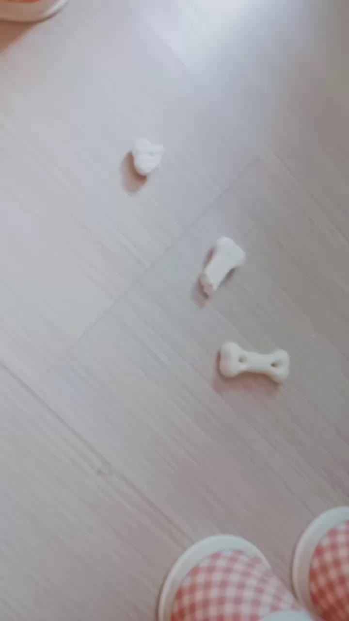 @홍장미