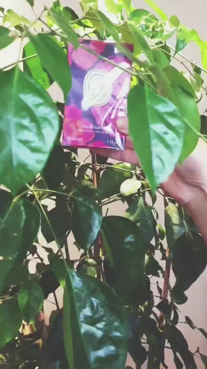 @만듀만두