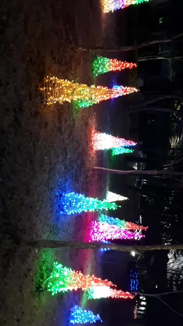 @콜라베어