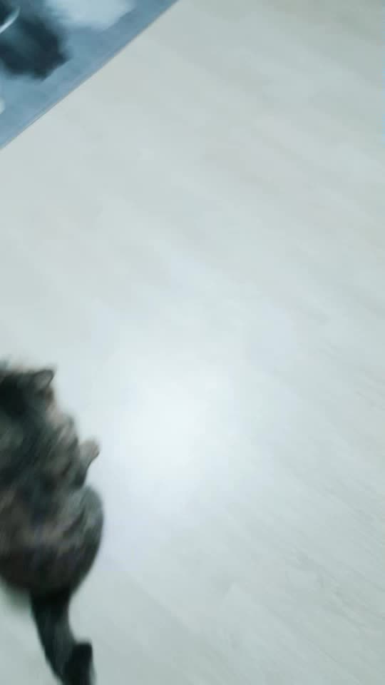 @ㅇㅅㅇ