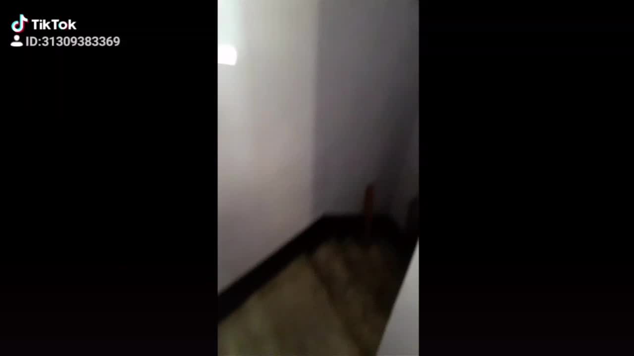 @피스peace피스peace