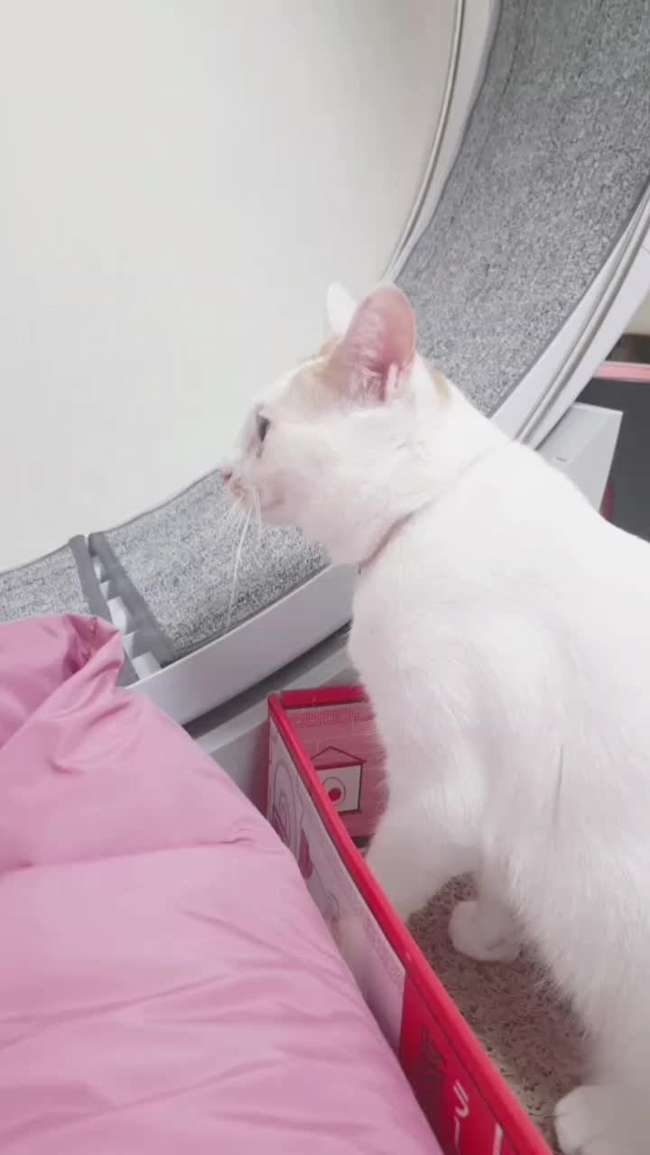 @이형균