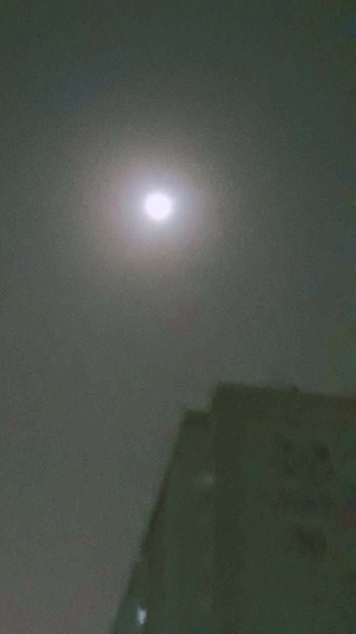 @카미키 리츠