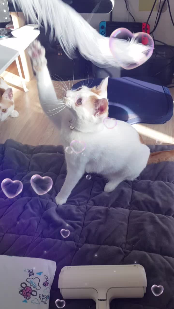 @이형균