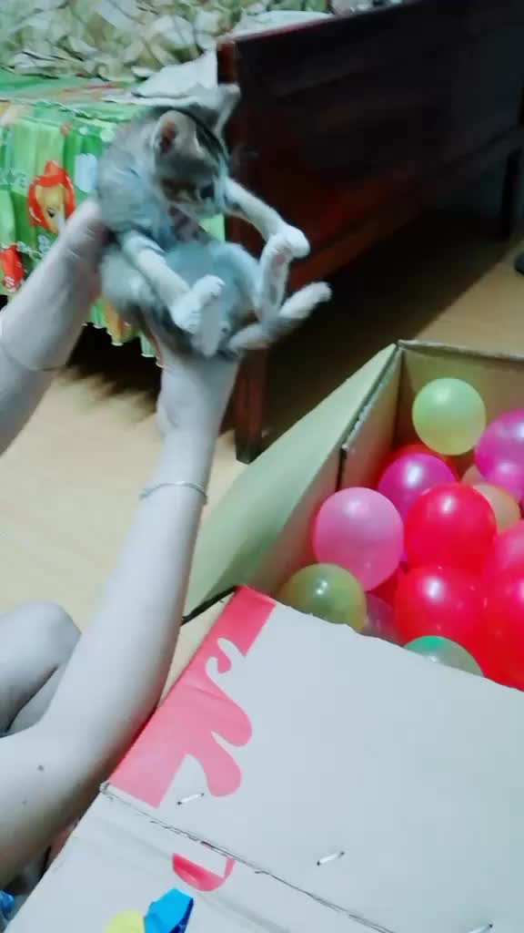 @Cô Nhi