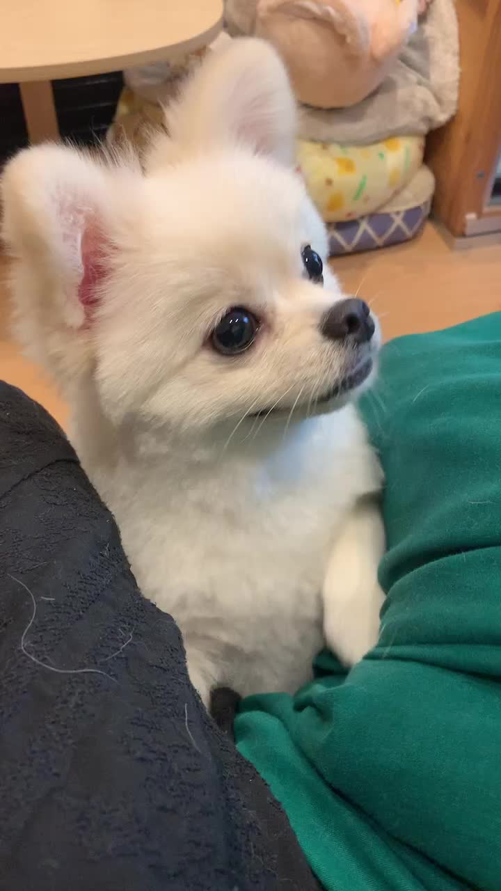 @おちゃわん