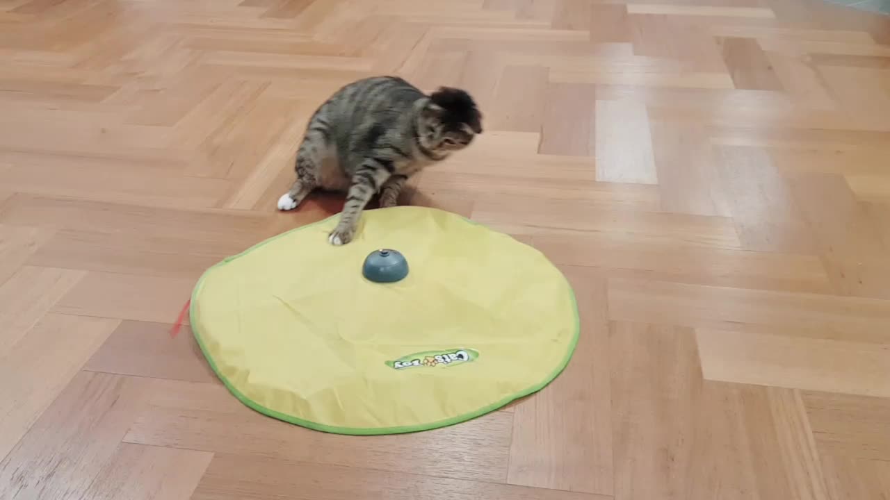 @만수루