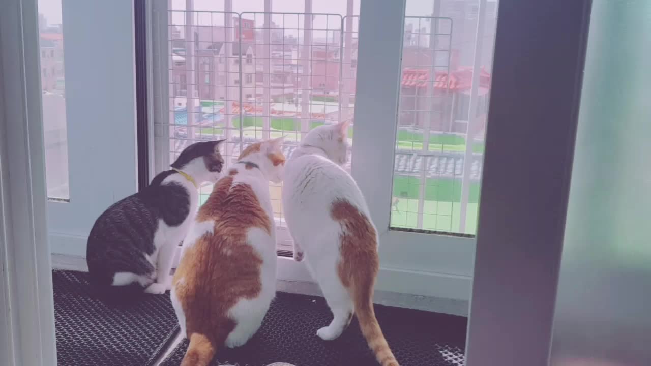 @이형균