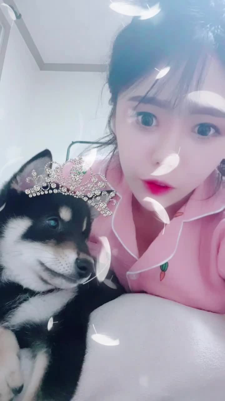 @모찌아라