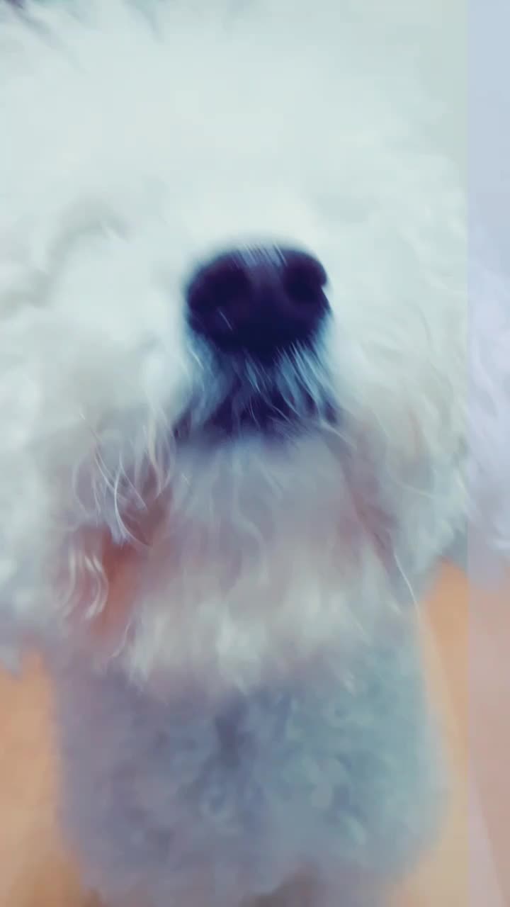 @🌟루피짱🌟