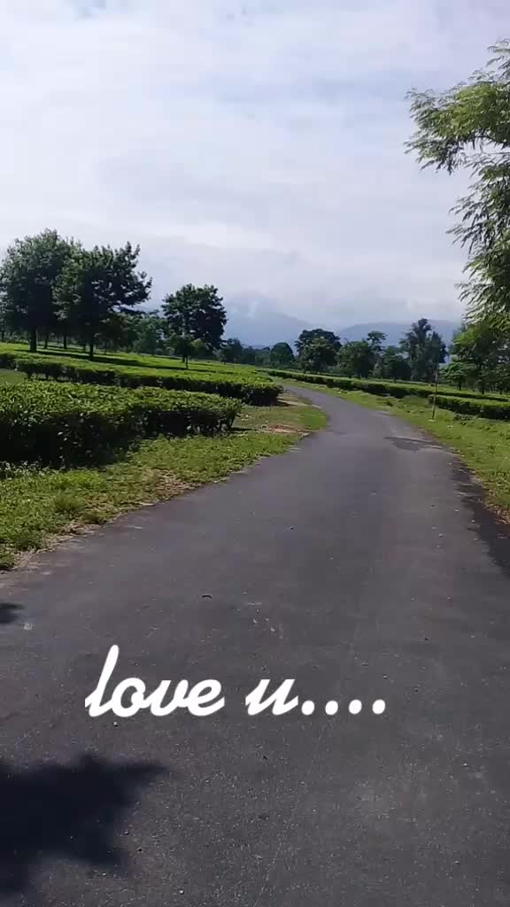 @sangitatamang