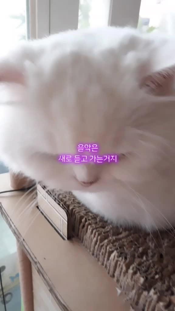 @LOVE,1284-BTS,여자친구