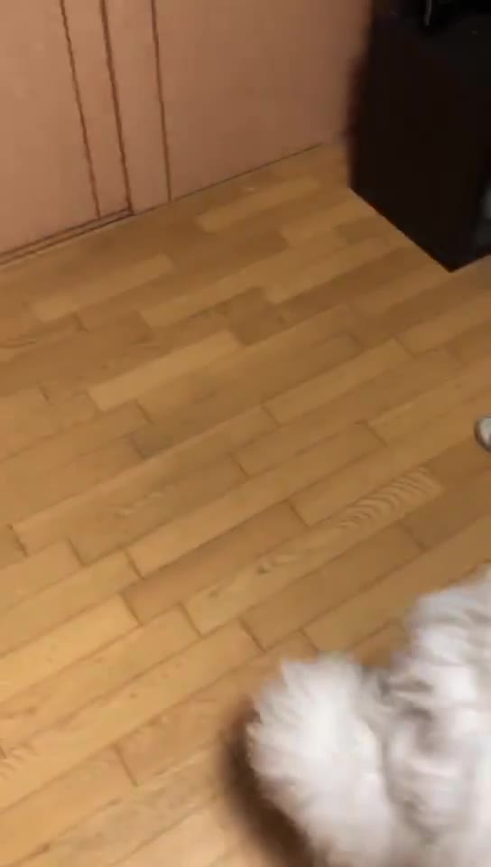 @じょじょ