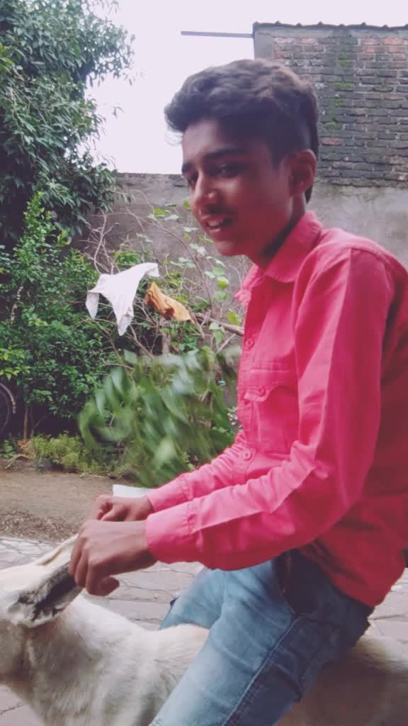 @vivekmalviy
