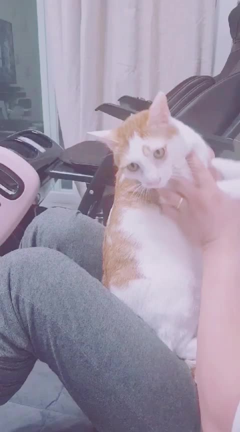 @이형균