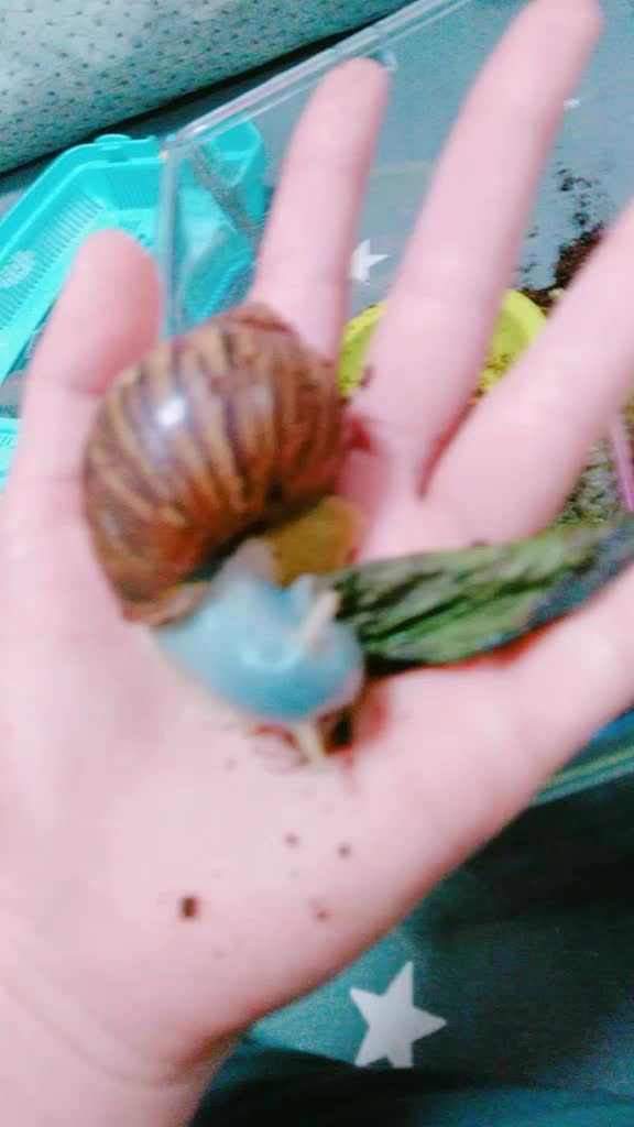 @๐ s h u m ๐